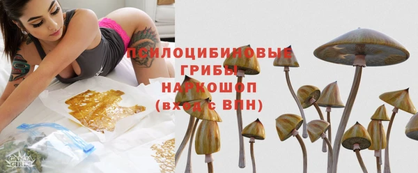 гидра Алексеевка